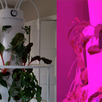 Indoor Gardening: Aeroponics Update & Compare