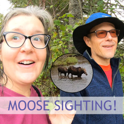 Isle Royale Moose Encounter!